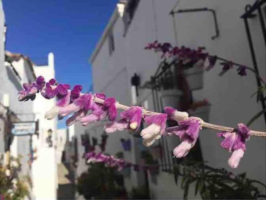 Villa Casa Arena Y Sal En Pleno Casco Antiguo De Vejer Vejer de la Frontera Esterno foto